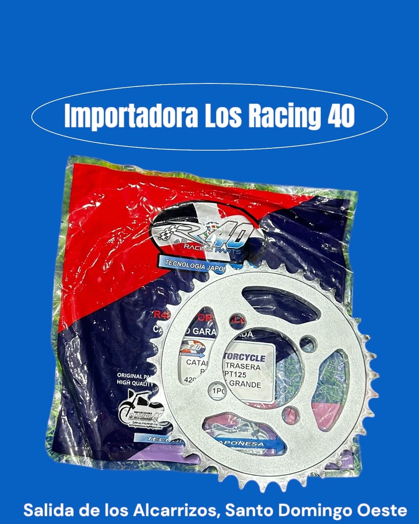 CATALINA 36T R40 PLATINA 100/125  420/428