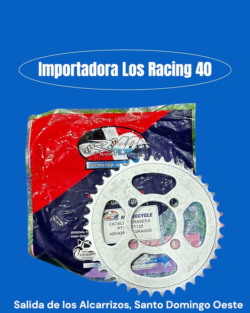 CATALINA 39T R40 PLATINA 100/125 420/428