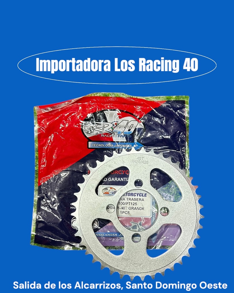 CATALINA 40T R40 PLATINA 100/125 420/428